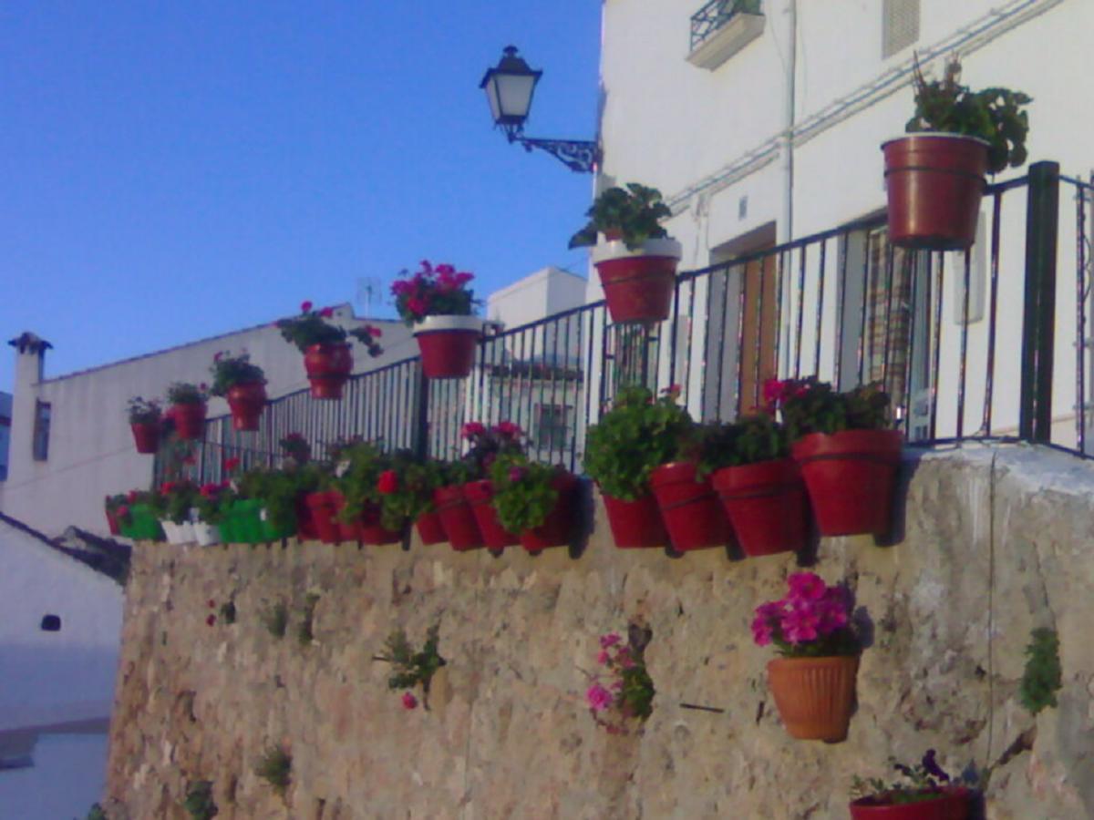 Casilla Dalea En Carcabuey, Descubre El Interior De Andaluciaヴィラ エクステリア 写真