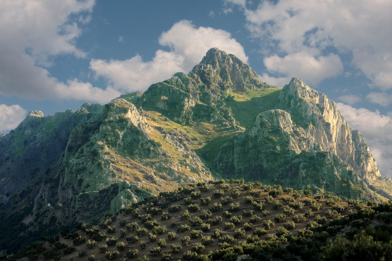 Casilla Dalea En Carcabuey, Descubre El Interior De Andaluciaヴィラ エクステリア 写真