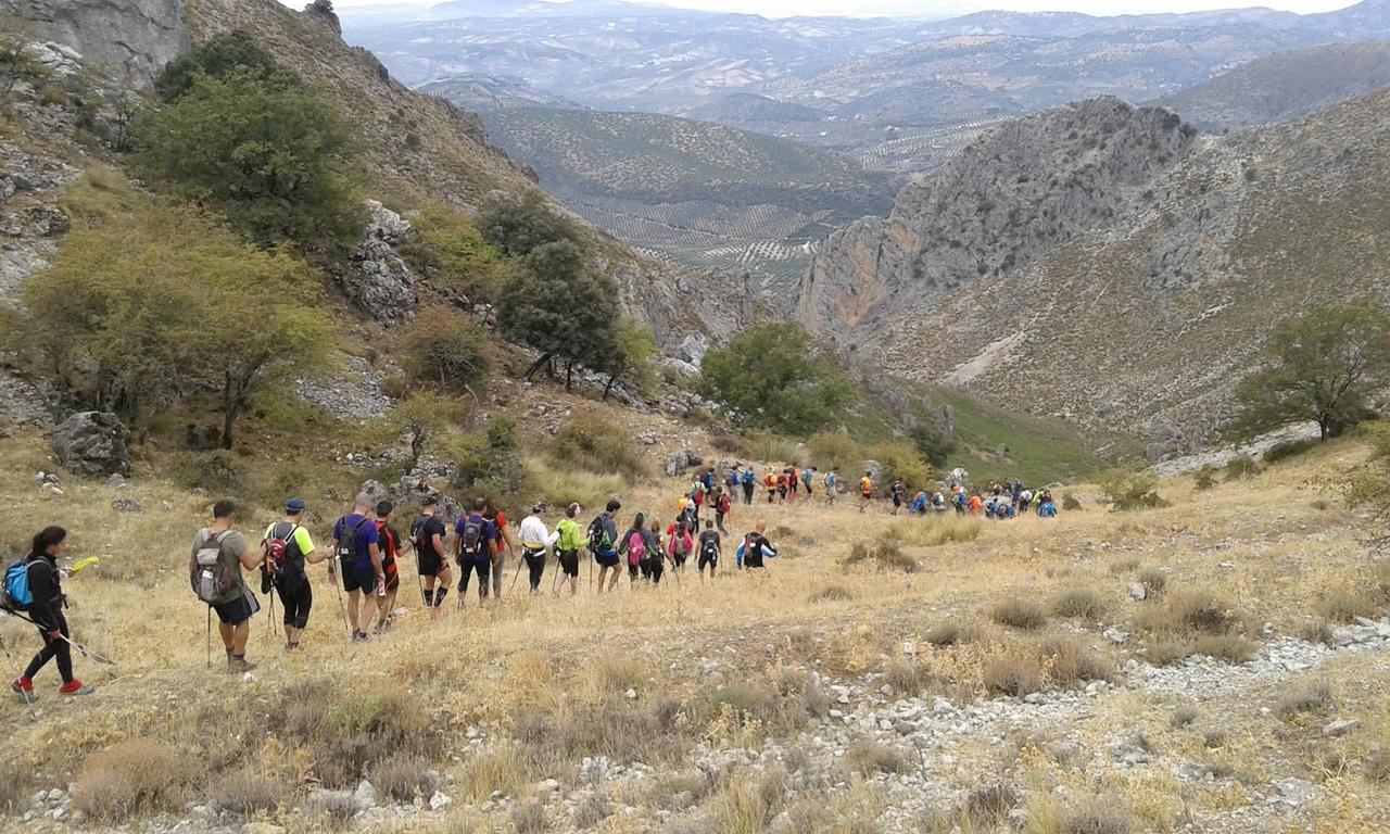 Casilla Dalea En Carcabuey, Descubre El Interior De Andaluciaヴィラ エクステリア 写真